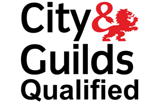 EMBLEM VERROM LIMITED